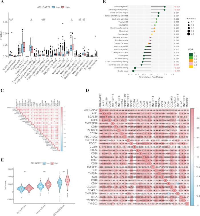 figure-results-7 Gene expression analysis charts; box plots, correlation graphs, heatmaps; ARHGAP22 impact.