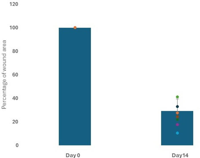 figure-results-3