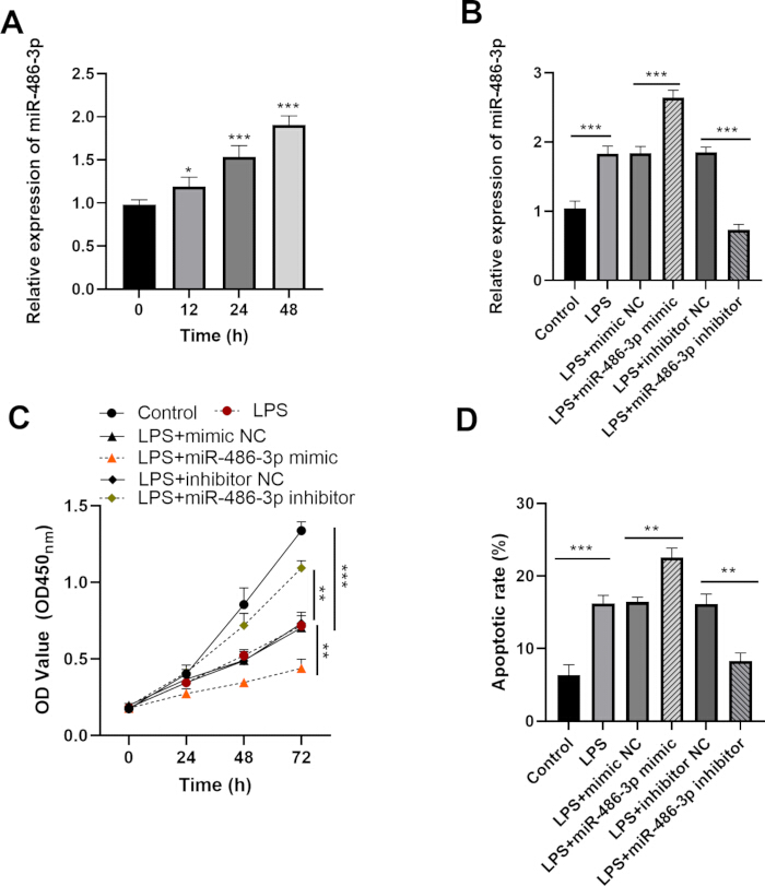 Gene expression and apoptosis analysis; miR-486-3p expression, LPS effects, in vitro, bar/line graphs.