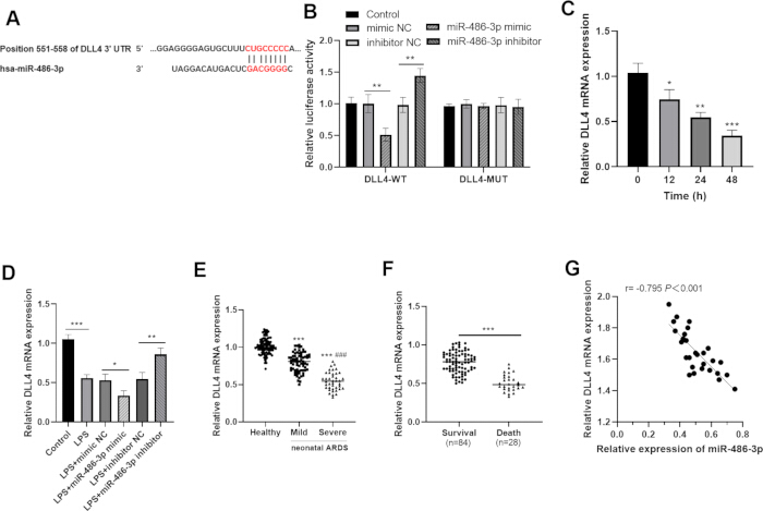 Static equilibrium in biological system; miRNA regulation of DLL4 expression; bar charts and scatter plot.