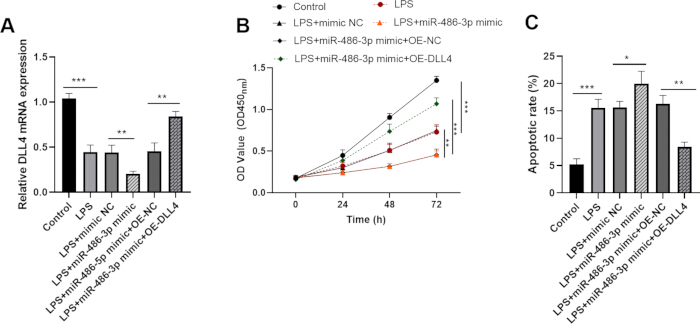 Gene expression bar chart, OD growth curve, apoptosis rate histogram; LPS, miR-486-3p, DLL4 effects.