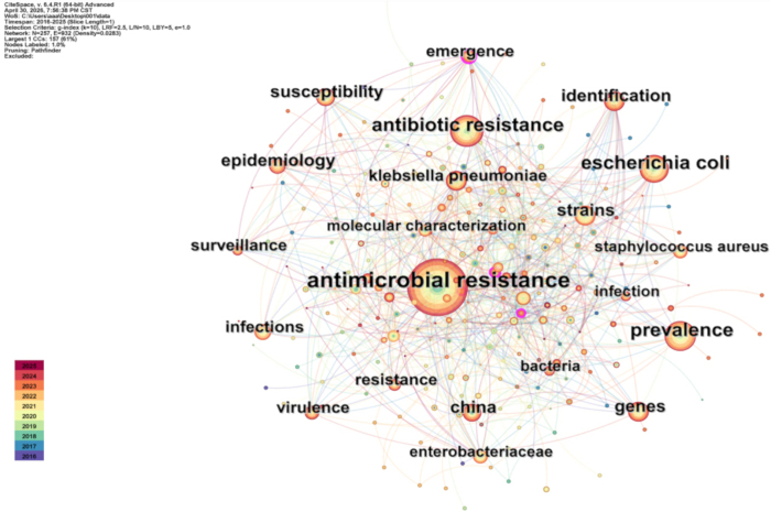 figure-results-3 Network diagram of antimicrobial resistance study; key terms: antibiotic resistance, infections, bacteria.