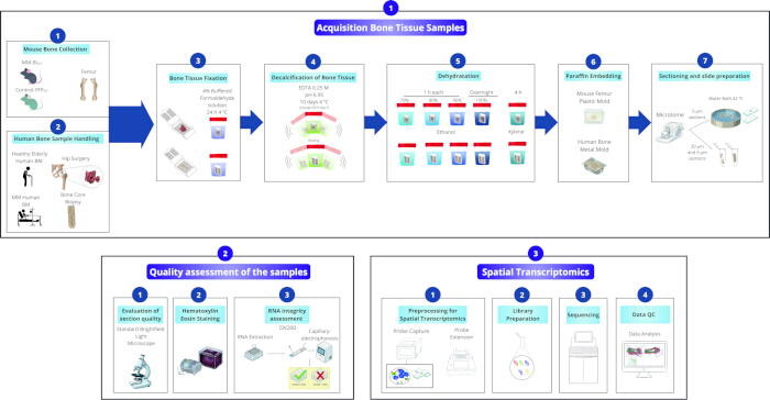figure-protocol-1