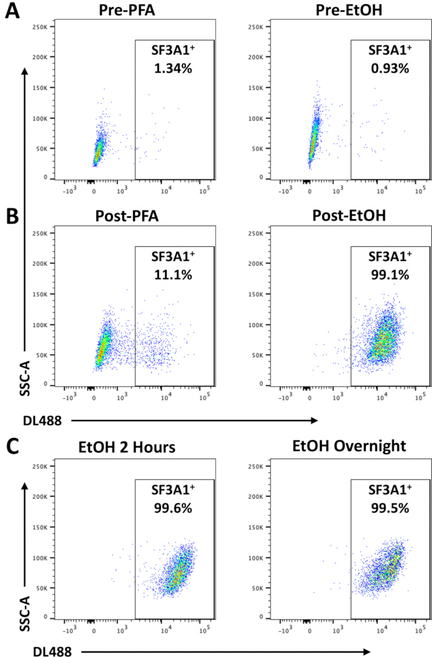 figure-results-1 Flow cytometry graph; SF3A1+ cell analysis pre/post-fixation; EtOH/PFA comparison; DL488, SSC-A.