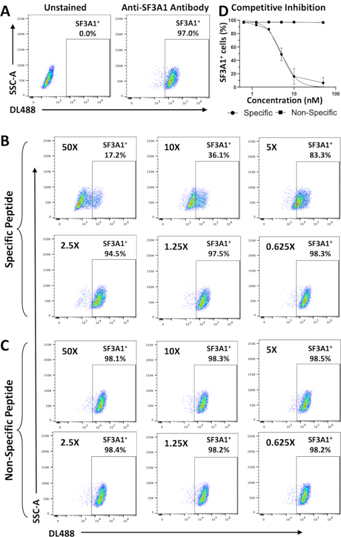 figure-results-2 Flow cytometry analysis of SF3A1 expression using anti-SF3A1 antibody, specific peptide, and inhibition.