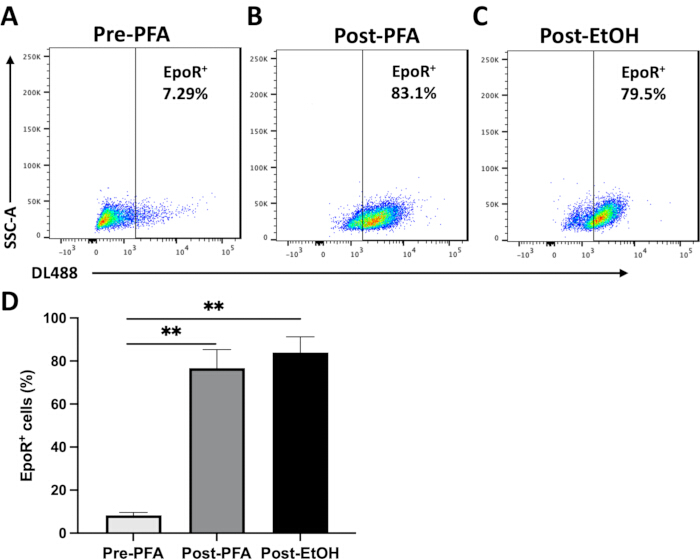 figure-results-3 Flow cytometry dot plots and bar graph showing EpoR+ cell percentages pre- and post-fixation.