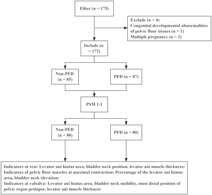 Flowchart illustrating patient selection for pelvic floor disorder study, showing inclusion/exclusion steps.
