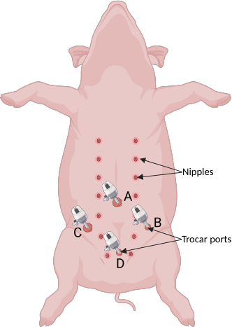 figure-protocol-1