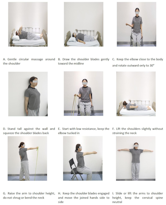Rehabilitation exercises for shoulder, balance bands, and positions; improve mobility, reduce pain.
