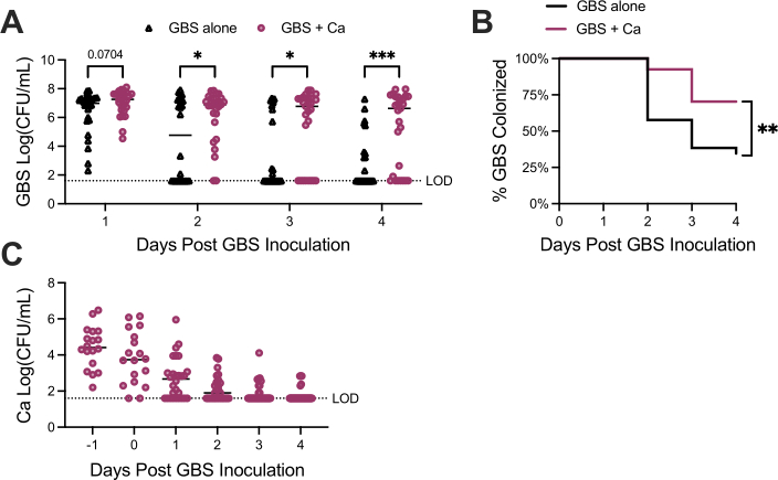 GBS colonization graphs; statistical comparison, survival curve, CFU/mL log scale data analysis.