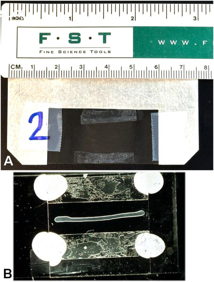 figure-results-1