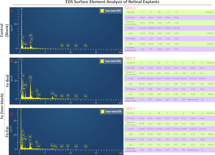 figure-results-5