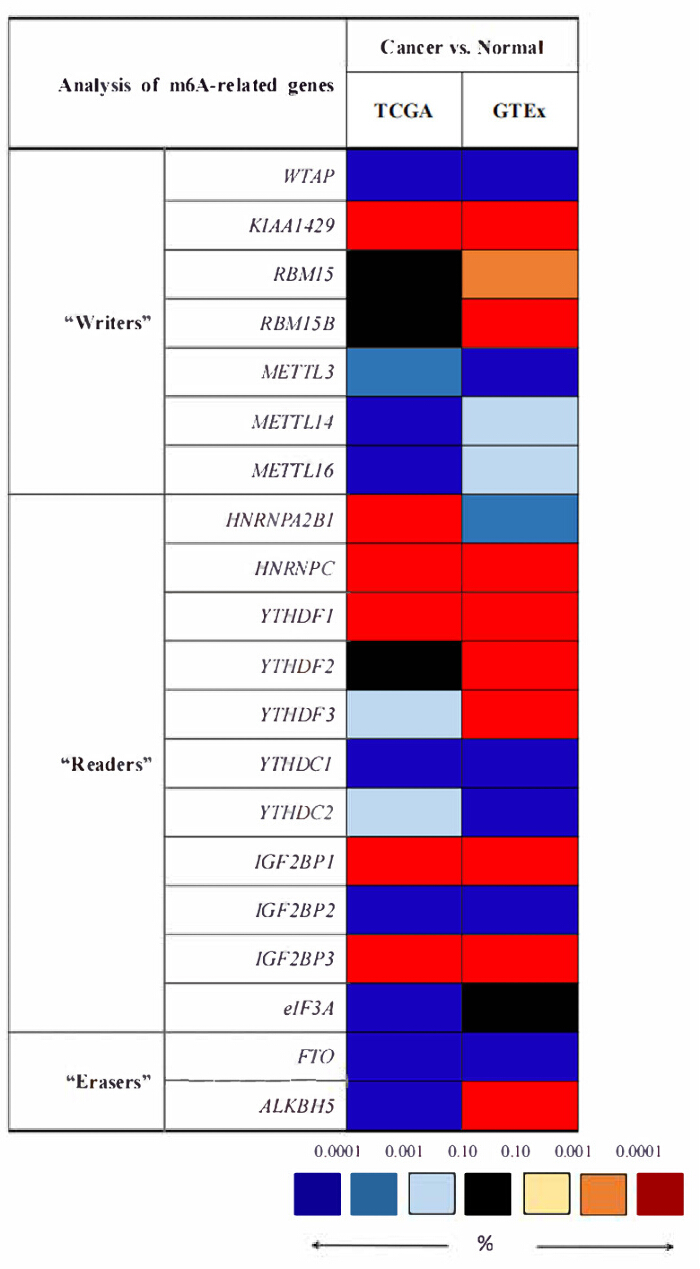 figure-results-1 m6A基因分析热图,癌症 vs 正常,“书写器”,“阅读器”,“擦除器”,表达水平。