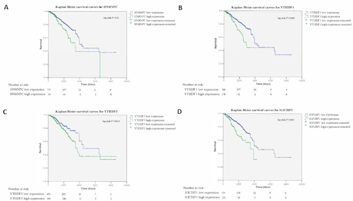 figure-results-3 Kaplan-Meier生存曲线图,HNRNPC、YTHDF1、YTHDF3、IGF2BP1表达对生存的影响