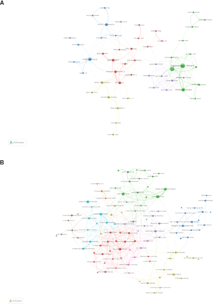 figure-results-5 Network visualization diagram, VOSviewer map, showing scholarly collaboration links and clusters.