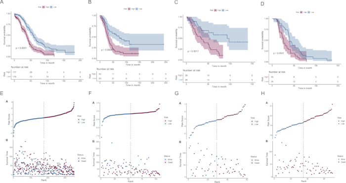 Kaplan-Meier survival analysis charts comparing time-to-event data for patient risk stratification.