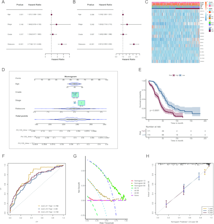 Cancer prognosis analysis using nomogram; hazard ratios, heatmap, survival curve, ROC, calibration.
