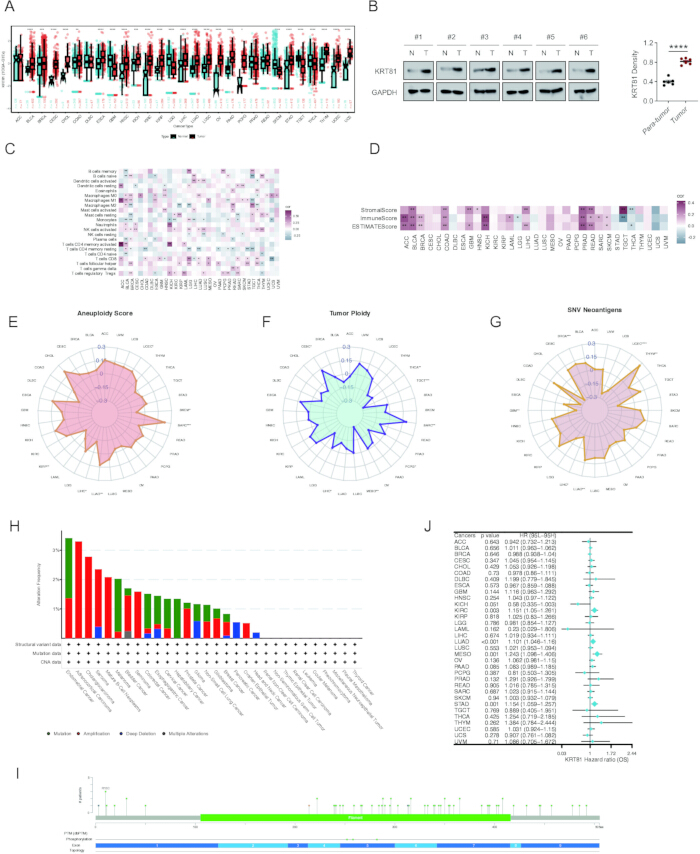 Cancer biomarker study; graphs and heatmaps; tumor markers, gene expression, statistical analysis.