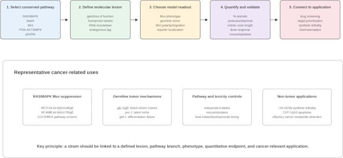 figure-results-2