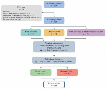 Flowchart of patient enrollment, wound types, and healing outcomes in clinical study.
