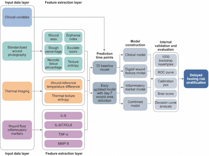 Wound healing prediction flowchart; data layers, feature extraction, model evaluation, risk stratification.