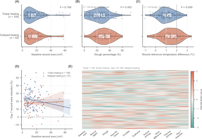 Violin plots and scatterplot analyzing wound healing; baseline area, temperature, slough percentage.