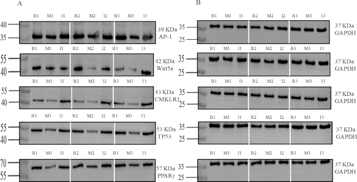 figure-results-7 figure-results-7