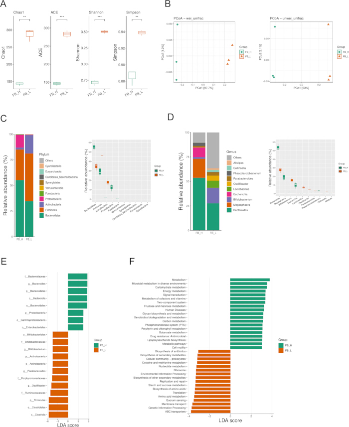 figure-results-3 Microbial diversity analysis with Chao1, Shannon indices, PCoA plots; phylum-genus abundance charts.