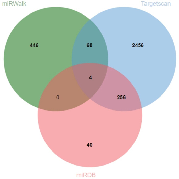 figure-results-6 figure-results-6