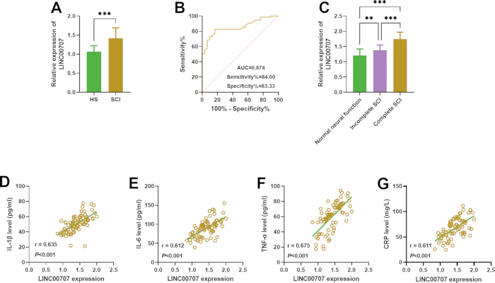 figure-results-1 Expression analysis bar charts A, C; ROC curve B; correlation scatter plots D-G; scientific data comparison.