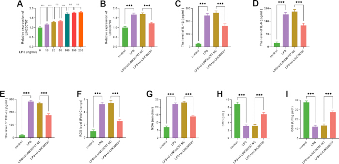 figure-results-2 Bar chart series analyzing cytokine expression and biochemical parameters in LPS-induced experiment.