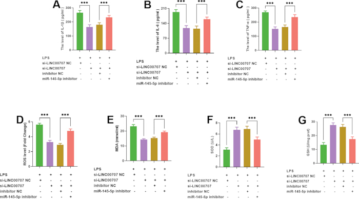 figure-results-4 Bar charts comparing protein expression levels with LPS treatment in gene inhibition study.