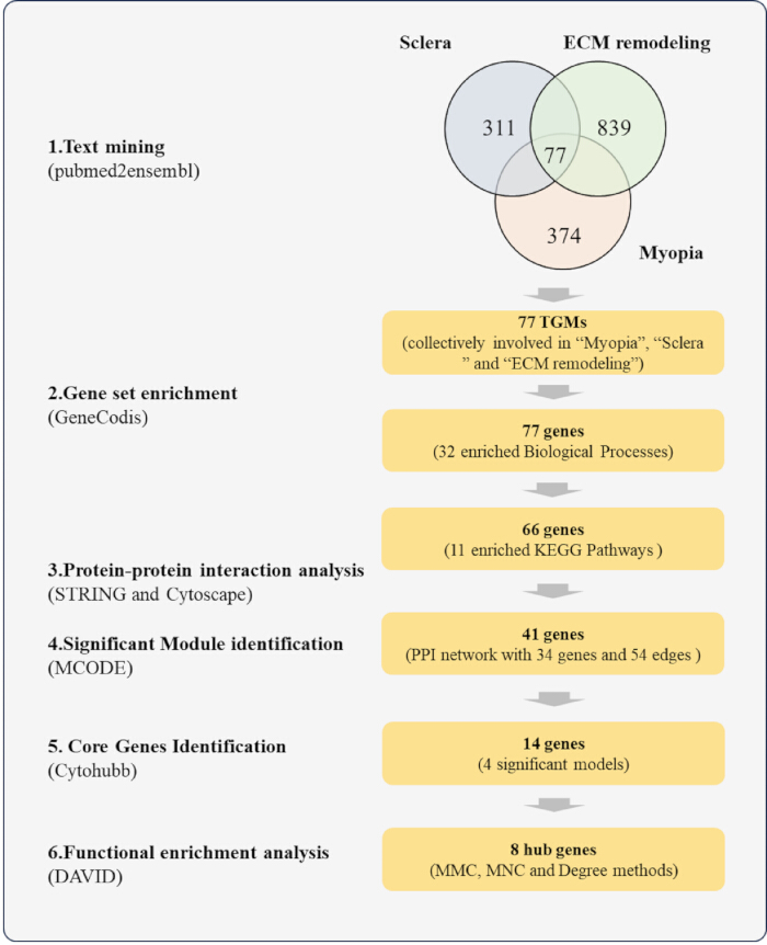 figure-results-1 figure-results-1