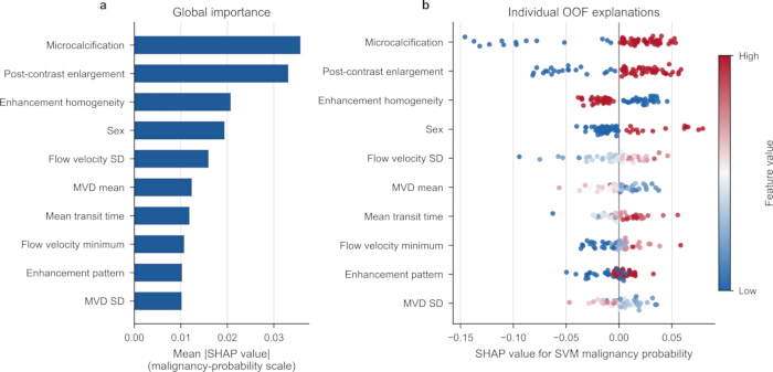 SHAP value bar plot and scatter chart for SVM analysis; global importance, individual explanations.