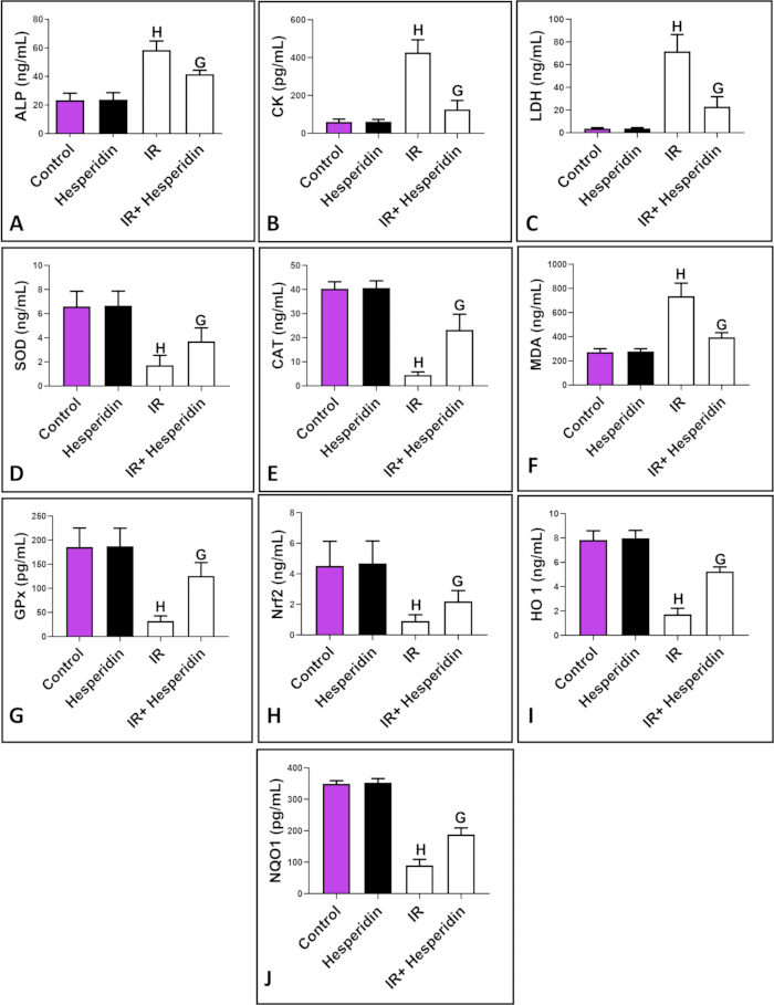 Enzyme activity comparison graphs; ALP, CK, LDH, SOD, CAT, MDA levels; hesperidin/IR study.