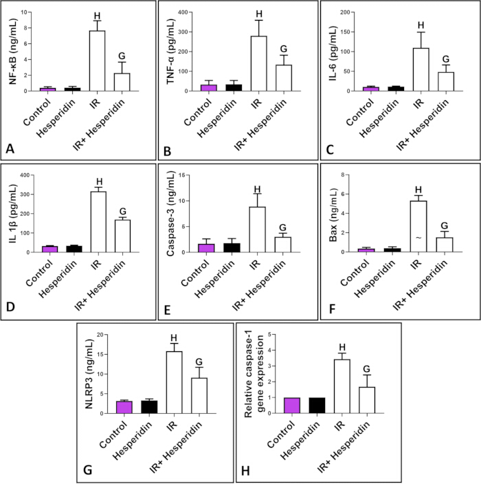 Bar graphs comparing cytokines and apoptotic markers in control, hesperidin, IR, IR+hesperidin.