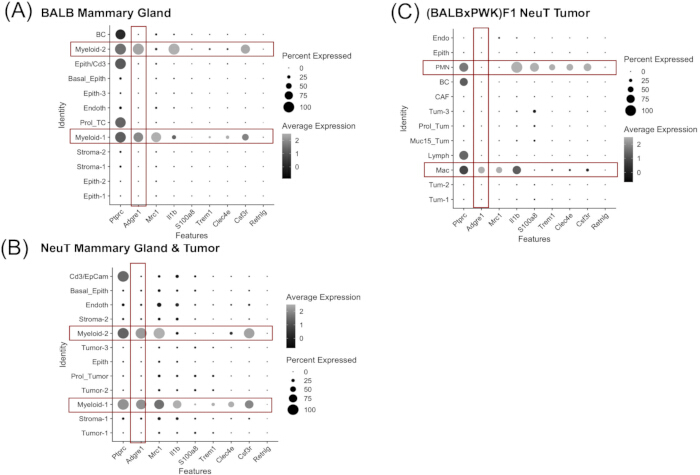 figure-results-5 Gene expression analysis diagrams detailing expression and percentage in mammary gland and tumor samples.