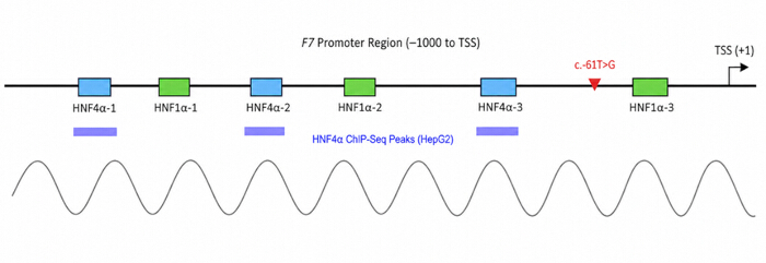 figure-results-1 figure-results-1