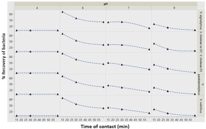 Bacterial recovery vs. time at different pH levels, line graph, adsorption efficiency study.