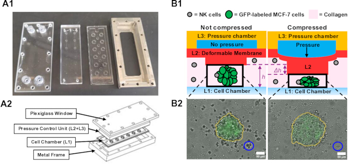 Microfluidic device components and diagram; cell chamber compression; GFP cell experiment results.