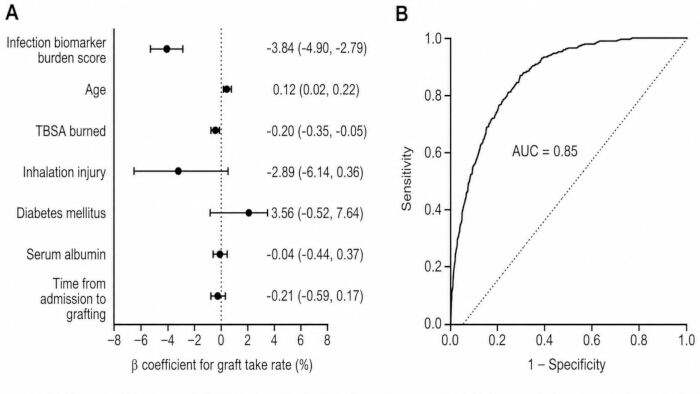 figure-results-4 Forest plot and ROC curve for influencing factors on graft take rate; statistical analysis results.