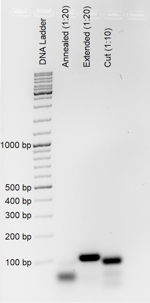 figure-protocol-1