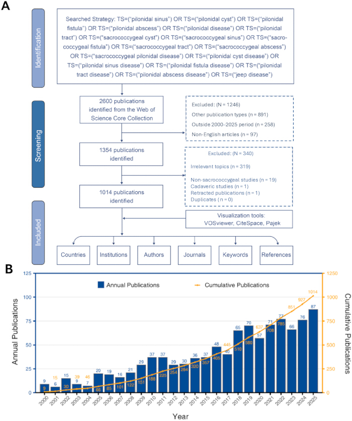 figure-results-1 Systematic review flowchart, publication trend chart; literature screening, annual publications analysis.
