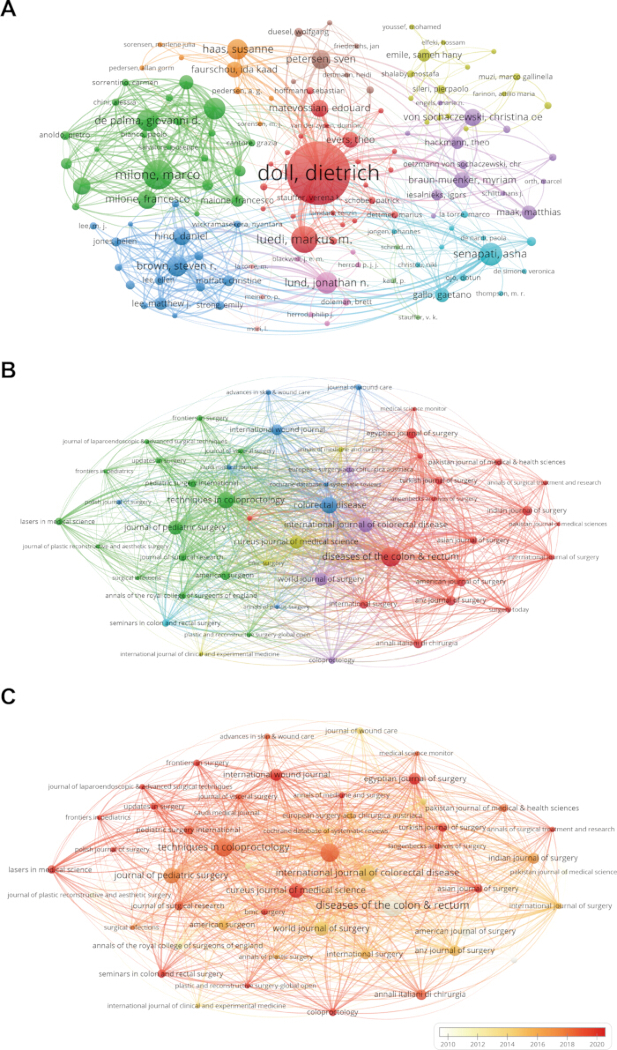 figure-results-3 Network analysis diagrams showing co-authorship patterns in scientific research publications.