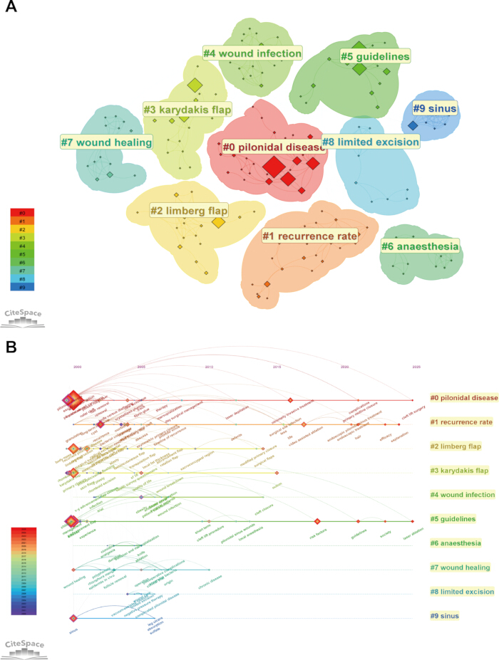 figure-results-4 Co-citation analysis, pilonidal disease research trends, CiteSpace cluster diagram and timeline.