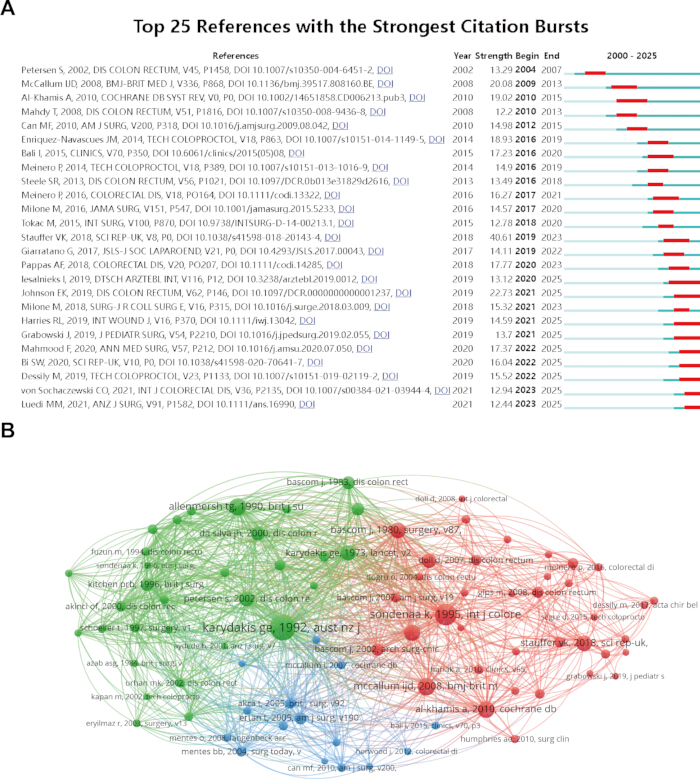 figure-results-6 Citation burst analysis chart; top references 2000-2025 list and network diagram; research impact.
