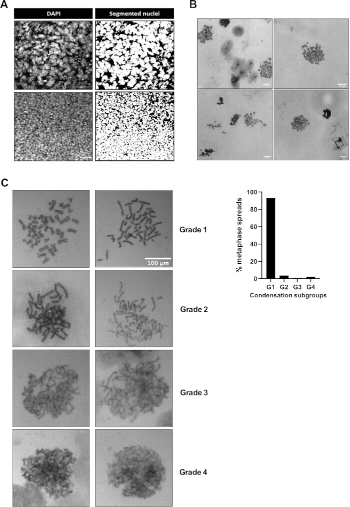 figure-results-3