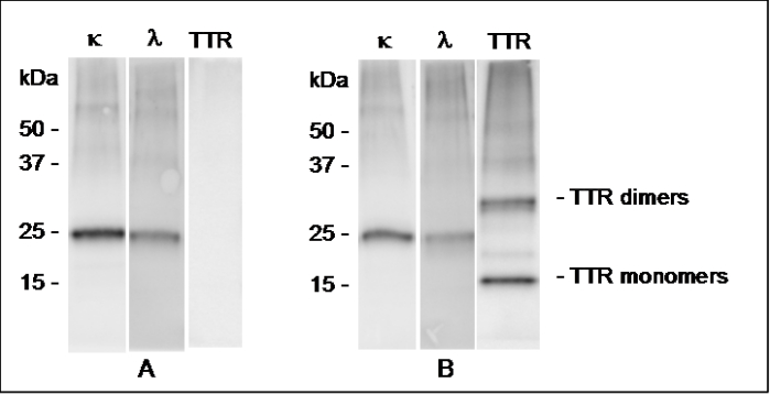 figure-results-1