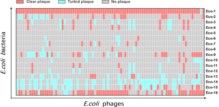 figure-results-4 figure-results-4