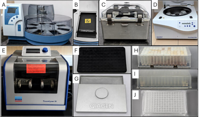 figure-protocol-2 Laboratory equipment setup for sample preparation and analysis, including centrifuge and tissue lyser.